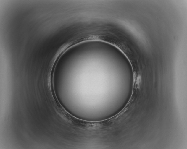 X0000110980099200906261437