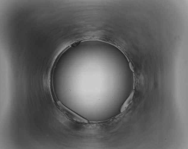 X0000110980100200906261437