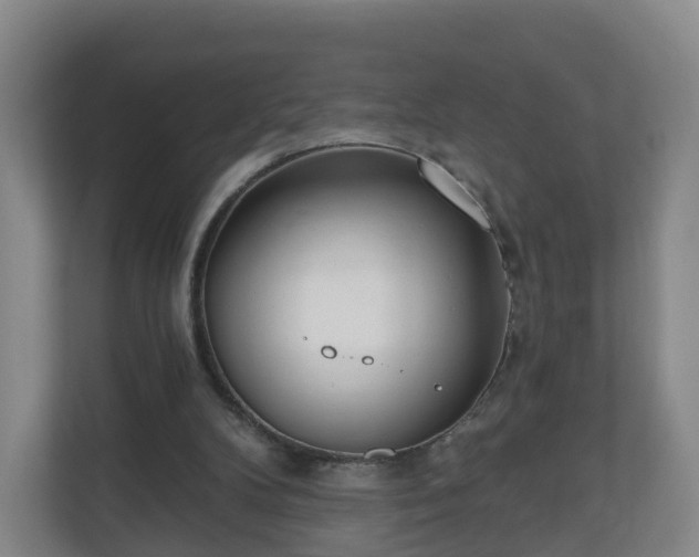 X0000110980104200906261437