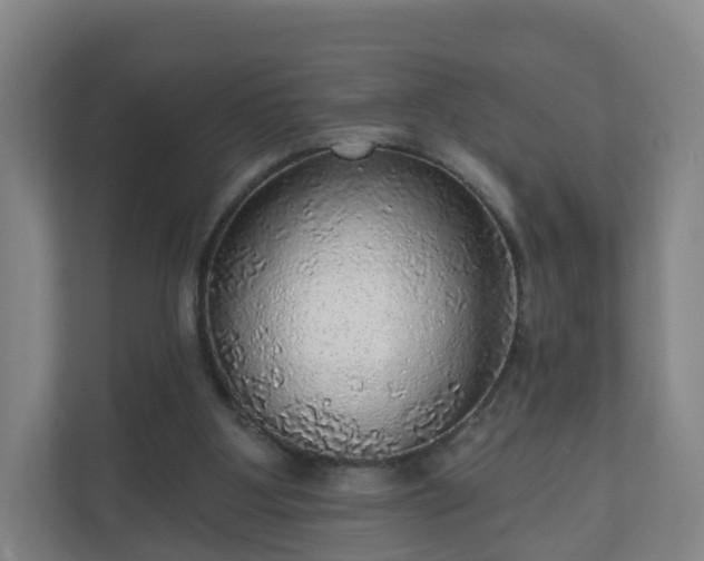 X0000110980107200906261437