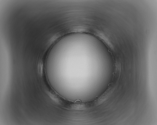 X0000110980110200906261437