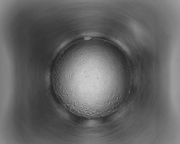 X0000110980111200906261437