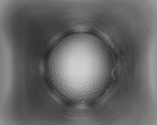 X0000110980114200906261437