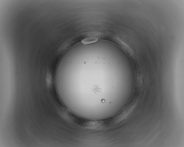 X0000110980117200906261437