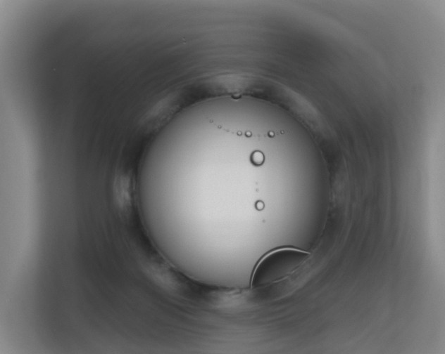 X0000110980122200906261437