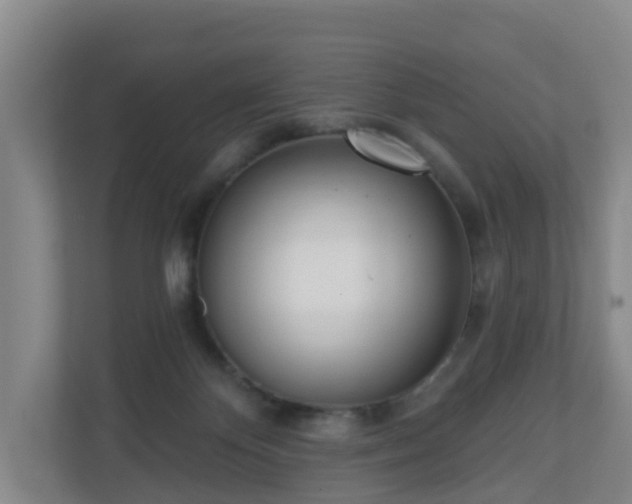 X0000110980124200906261437