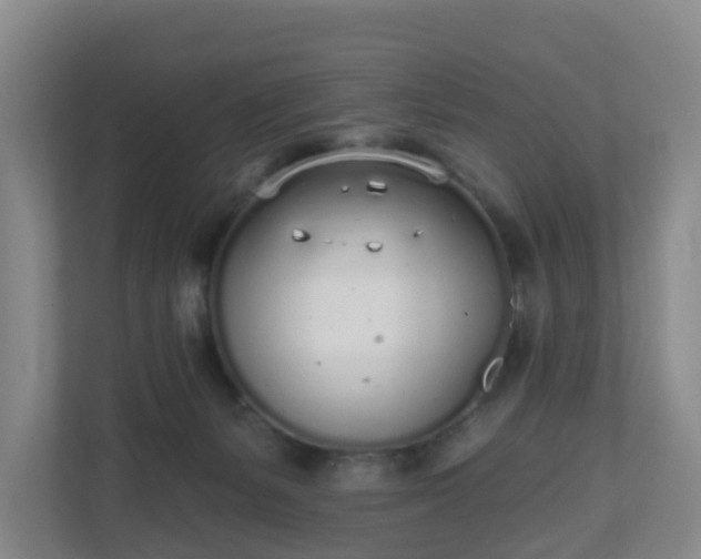 X0000110980127200906261437