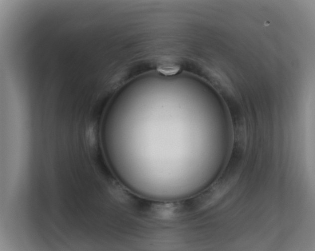 X0000110980131200906261437