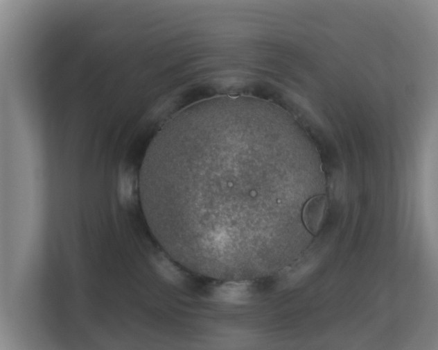 X0000110980138200906261437