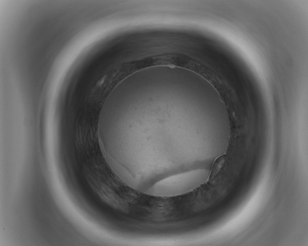 X0000110980143200906261437