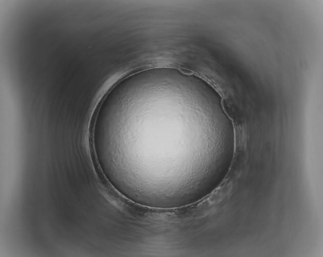 X0000110980147200906261436