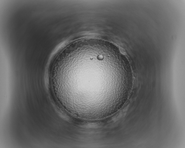 X0000110980149200906261436