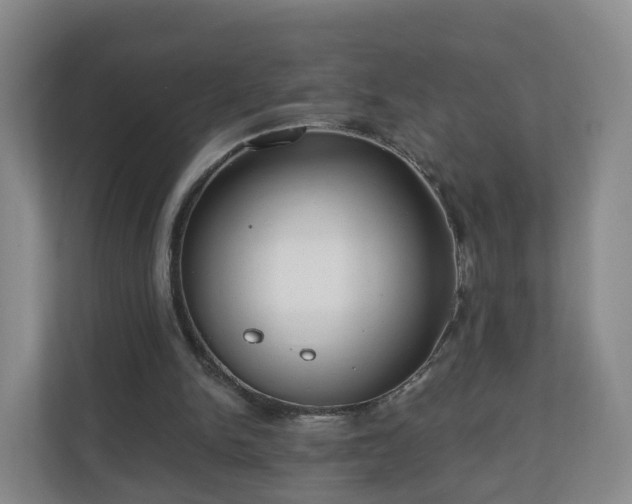 X0000110980150200906261436