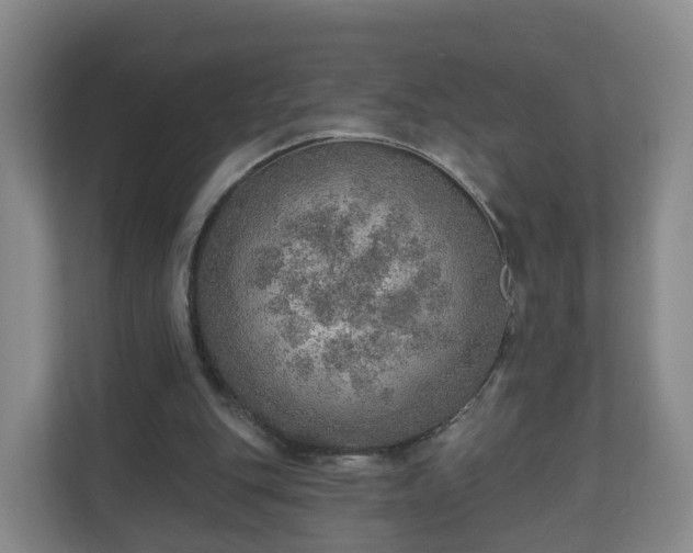 X0000110980151200906261436