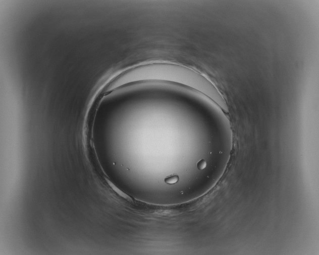 X0000110980152200906261436