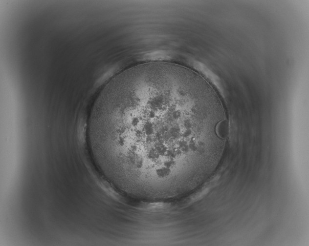 X0000110980153200906261436