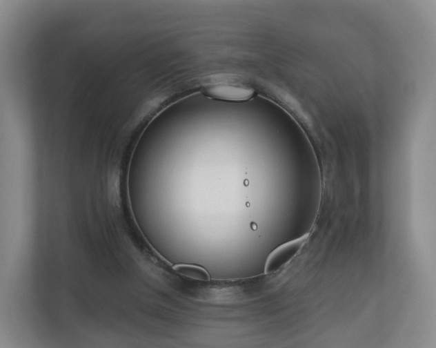 X0000110980154200906261436