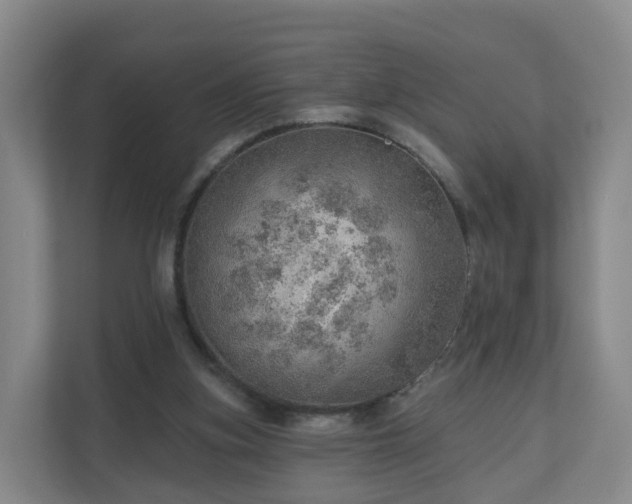 X0000110980155200906261436