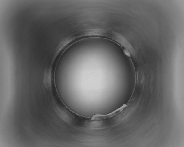 X0000110980156200906261436