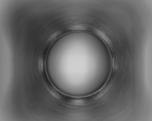 X0000110980157200906261436