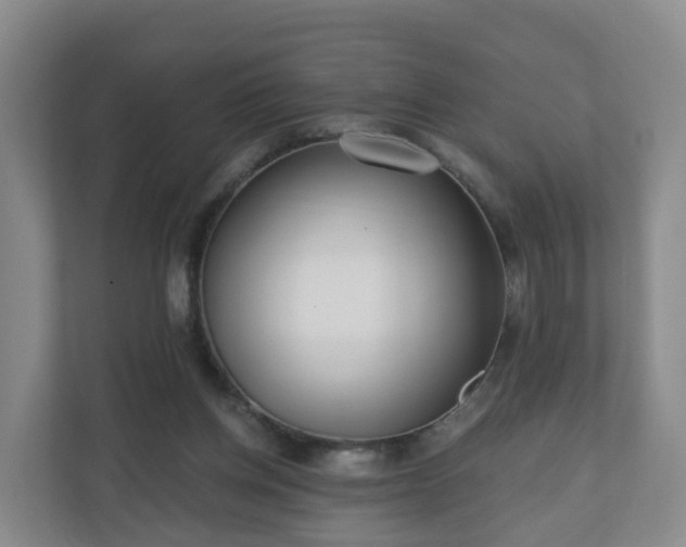 X0000110980158200906261436