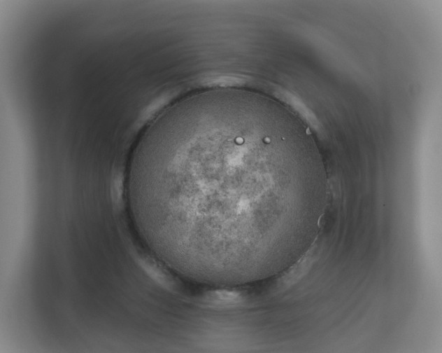 X0000110980159200906261436