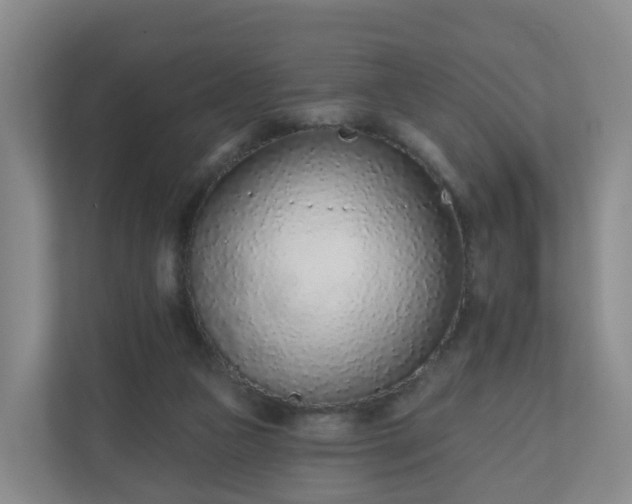 X0000110980161200906261436