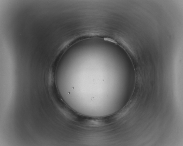 X0000110980164200906261436