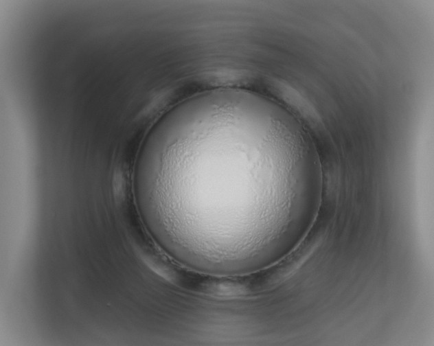 X0000110980165200906261436