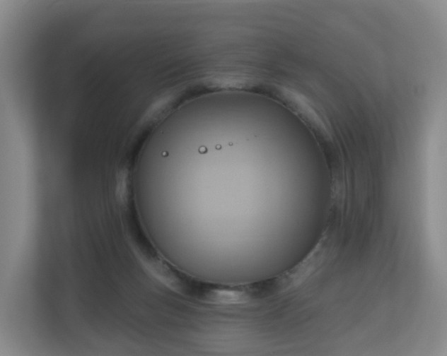 X0000110980167200906261436