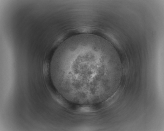 X0000110980171200906261436