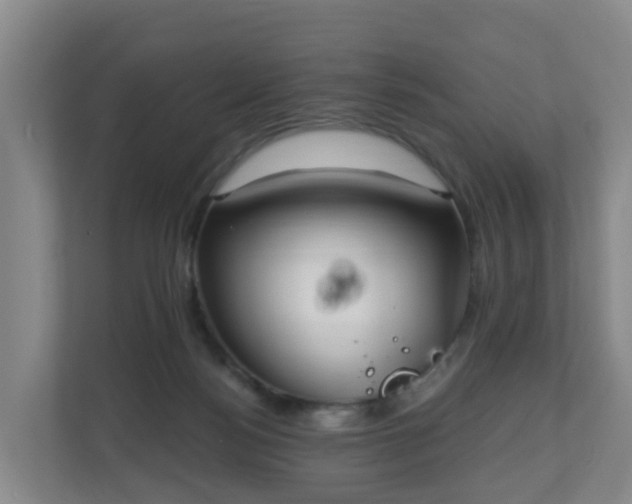 X0000110980172200906261436