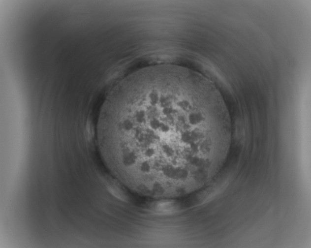 X0000110980173200906261436