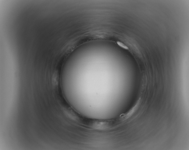 X0000110980174200906261436