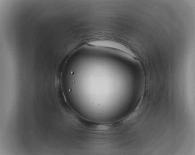 X0000110980176200906261436