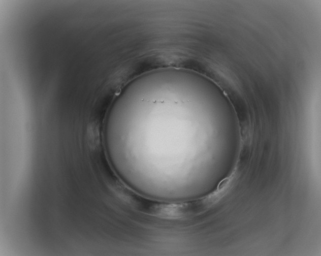 X0000110980182200906261436