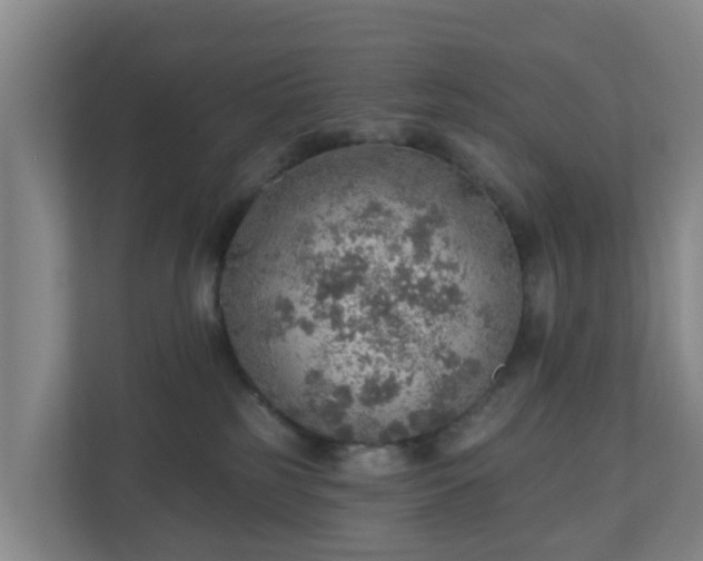 X0000110980185200906261437