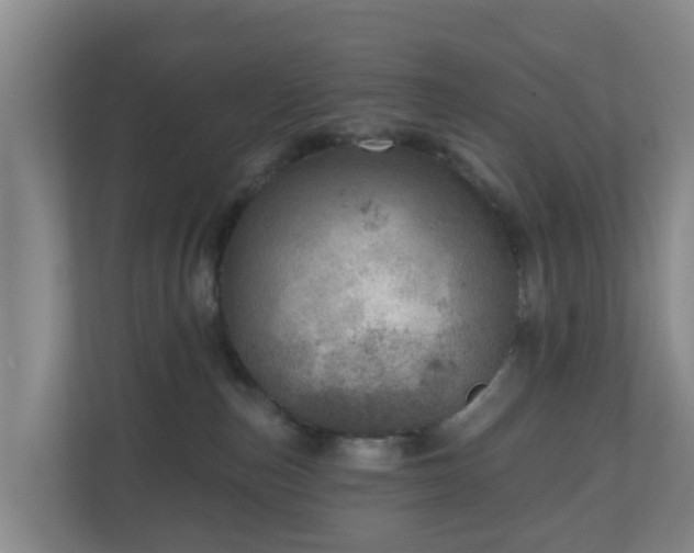 X0000110980187200906261437