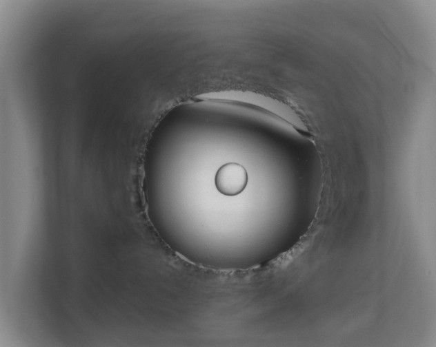 X0000110980192200906261437