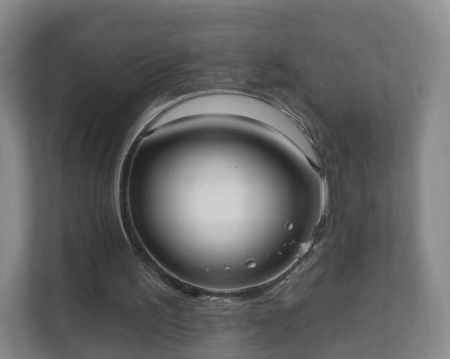 X0000110980195200906261436