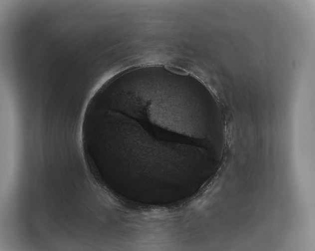 X0000110980196200906261436