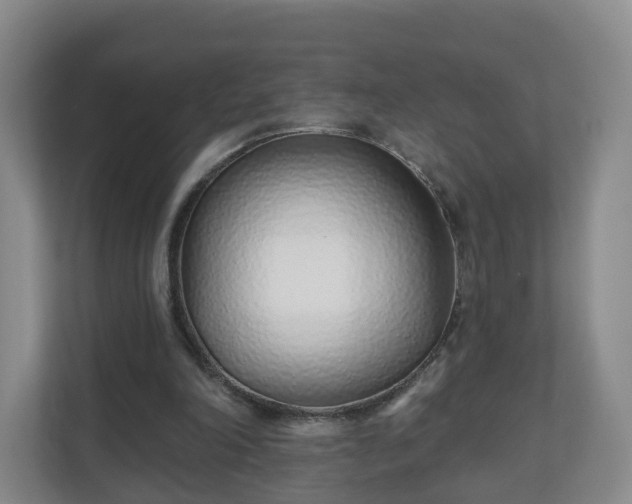 X0000110980198200906261436