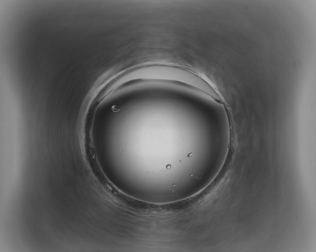 X0000110980199200906261436