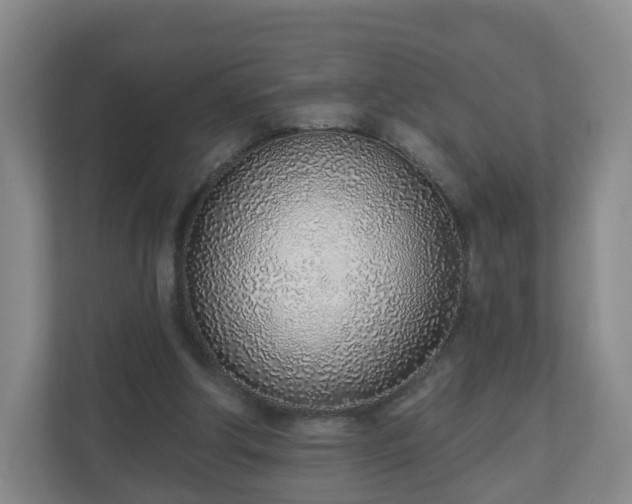 X0000110980202200906261436