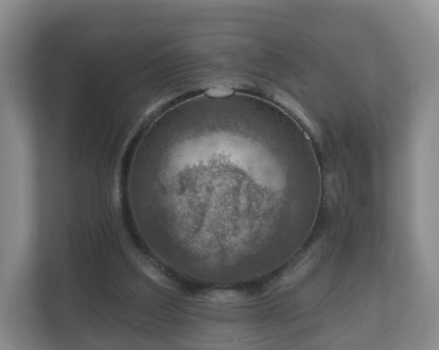 X0000110980203200906261436