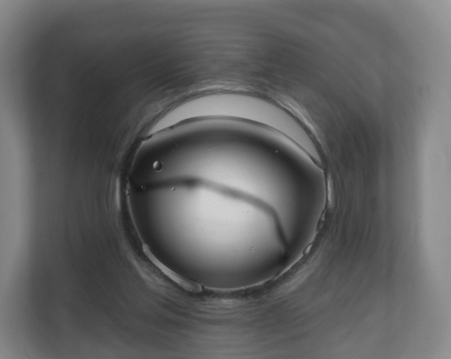 X0000110980205200906261436