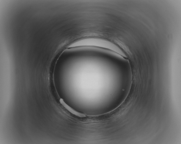 X0000110980207200906261436