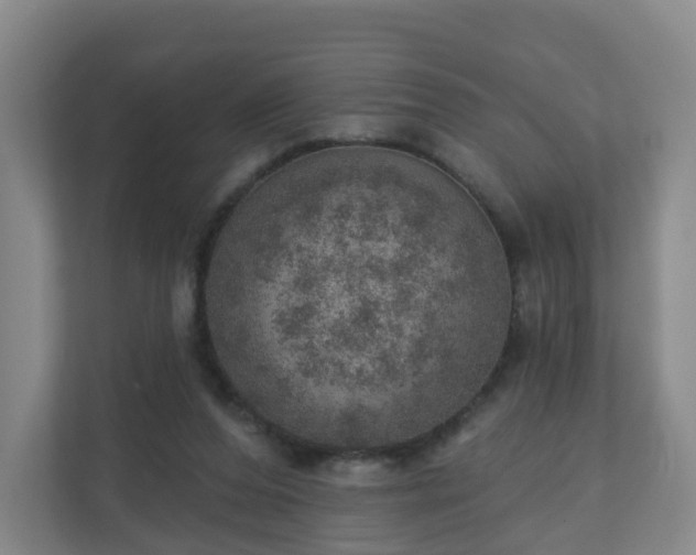 X0000110980208200906261436