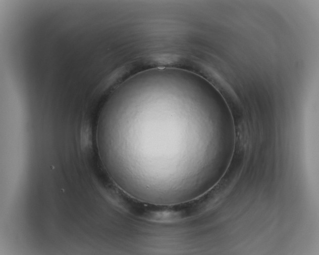 X0000110980212200906261436