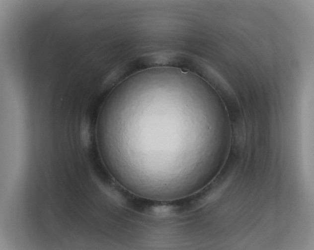 X0000110980216200906261436